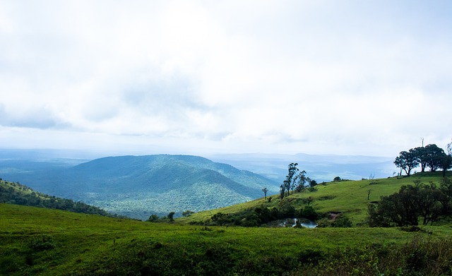 令众多经验 令众多经验