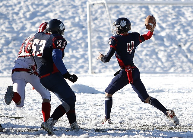 日最佳球员 日最佳球员