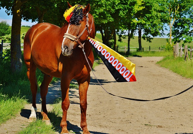 对手命中率 对手命中率