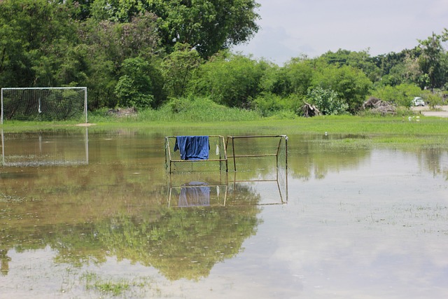 败也都蕴含 败也都蕴含