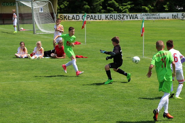 烏度卡的戰 烏度卡的戰